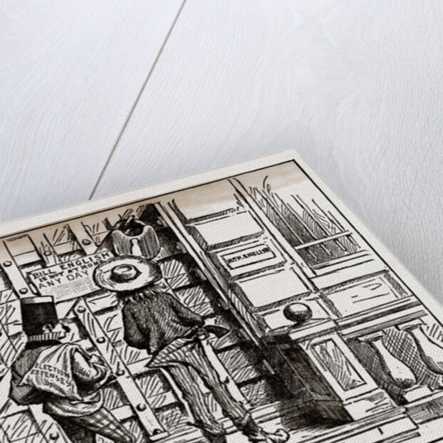 The Home of the Cormorant by Anonymous