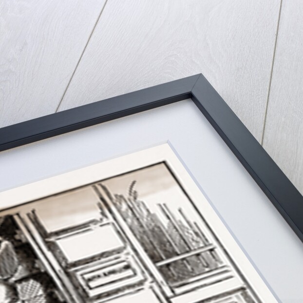 The Home of the Cormorant by Anonymous