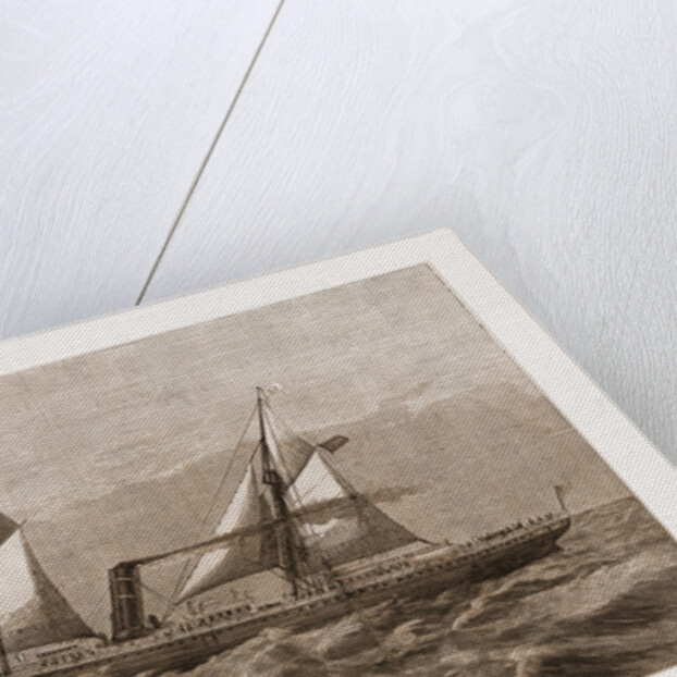 The New Steam-ship Newport, of Ward's Havana Line by Antonio Jacobson