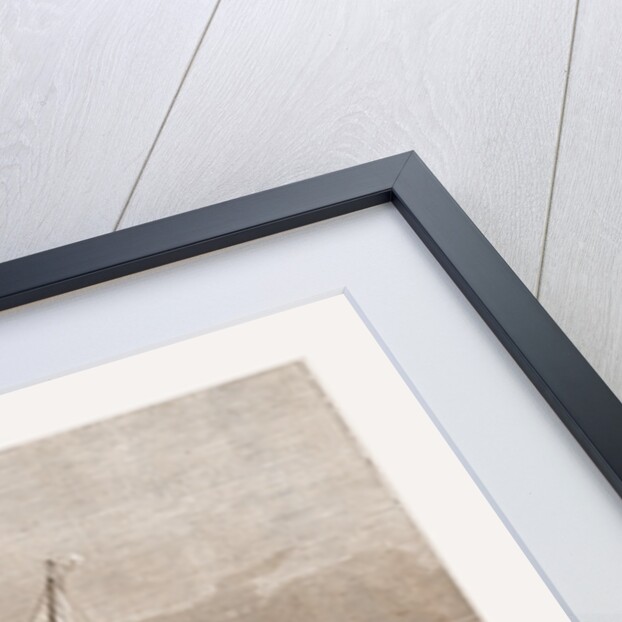 The New Steam-ship Newport, of Ward's Havana Line by Antonio Jacobson