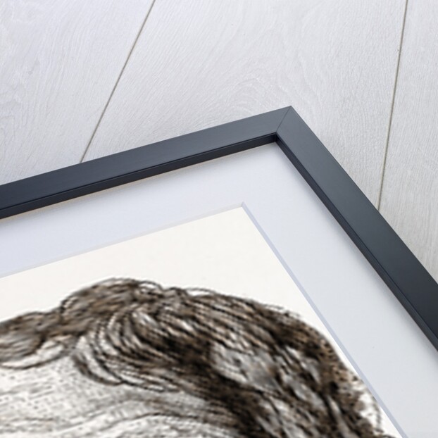 George Boss, Aged 86, 1880, USA by Anonymous