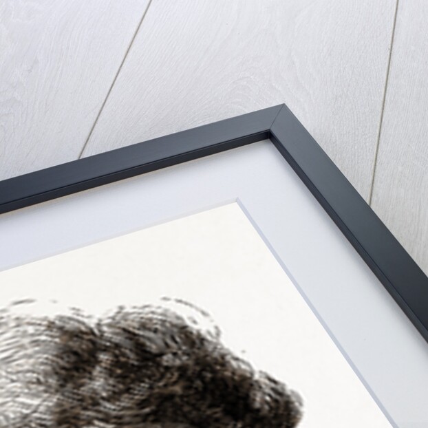 Samuel Jennings, Aged 83, USA by Anonymous