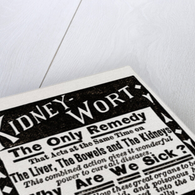 Kidney Wort, 1880, USA by Anonymous