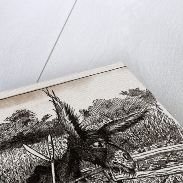 The Hungry Democracy—the Greatest Faster On Record, USA by Anonymous