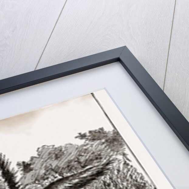 The Hungry Democracy—the Greatest Faster On Record, USA by Anonymous