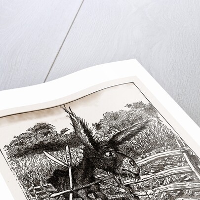 The Hungry Democracy—the Greatest Faster On Record, USA by Anonymous