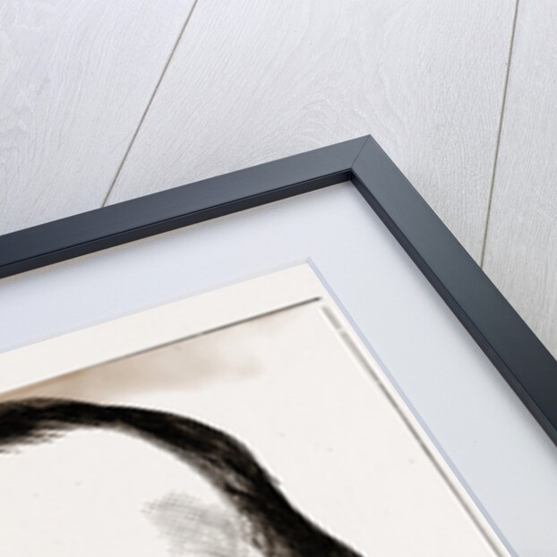 Jacques Offenbach, 1880 by Anonymous