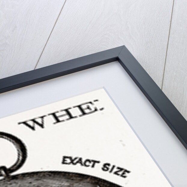 The Pall Mall Electric Association of London, 1880 by Anonymous