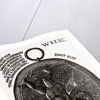 The Pall Mall Electric Association of London, 1880 by Anonymous