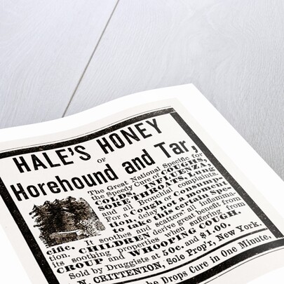 Hale's Honey Or Horehound And Tar, 1880 by Anonymous