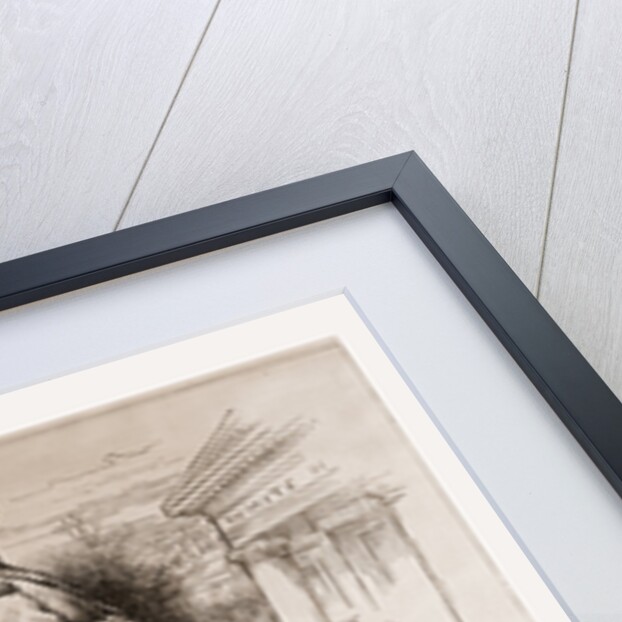 What A Pity! Democratic Nomination, 1880 by Anonymous