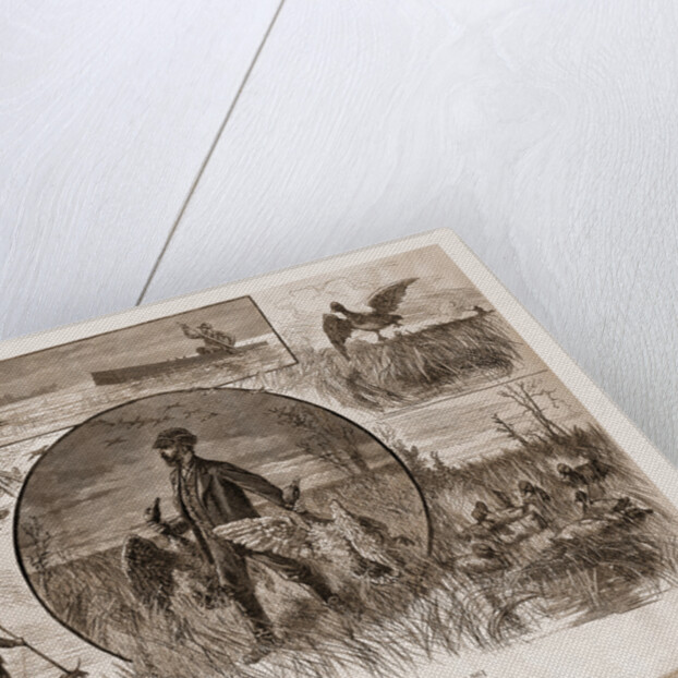 Cruelties Practiced On Fish And Fowl, 1880 by Anonymous