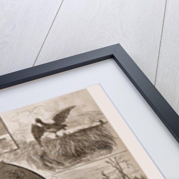 Cruelties Practiced On Fish And Fowl, 1880 by Anonymous