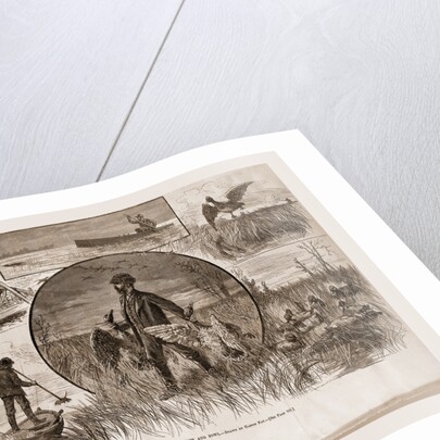 Cruelties Practiced On Fish And Fowl, 1880 by Anonymous