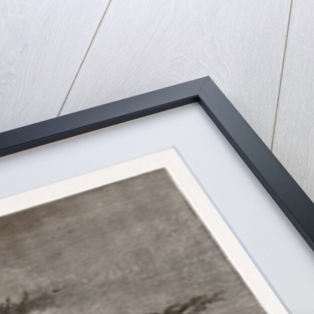 The Wild-goose by Gaston Fay