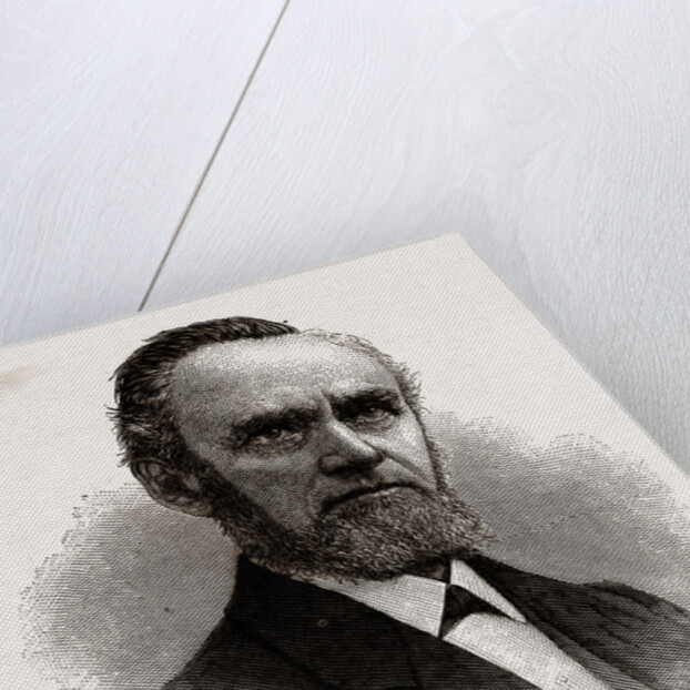 The Rev. Charles S. Brown, 1880 by Anonymous