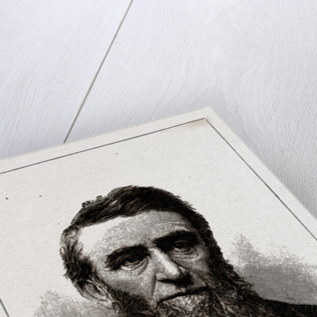 The Hon. D. H. Jerome, Governor-elect of Michigan by Anonymous