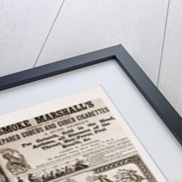 Advertising 1880, USA, Us, America by Anonymous