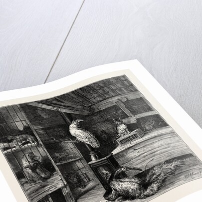 A Wild Beast Shop by Anonymous