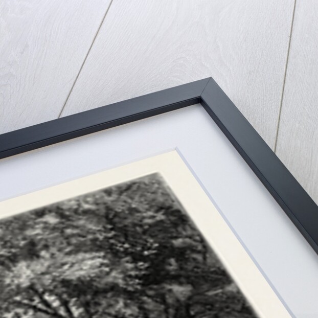 Old Bethlem Hospital, Moorfields About 1750 by Anonymous