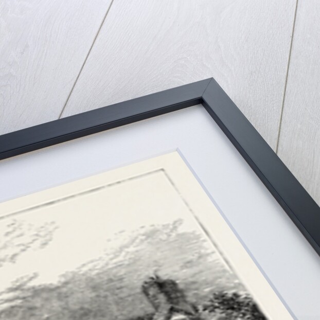 Sir Walter Raleigh's House by Anonymous