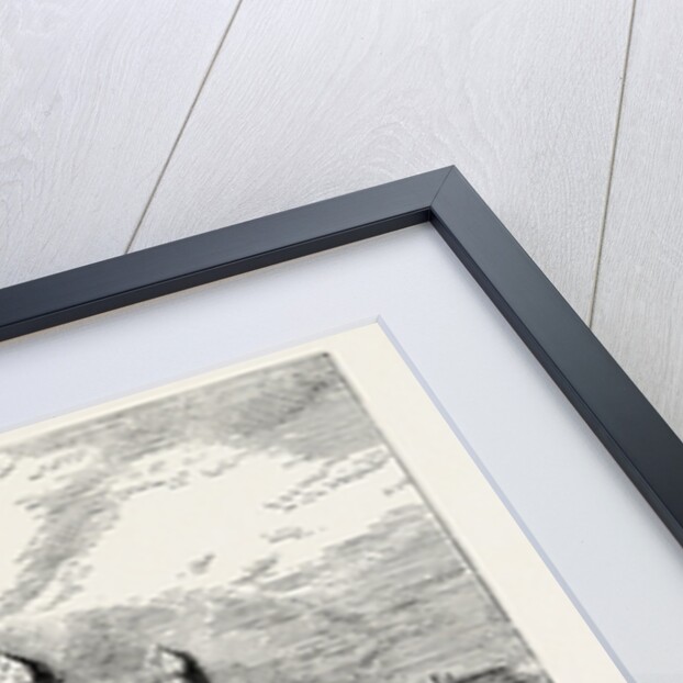 Suffolk House by Anonymous