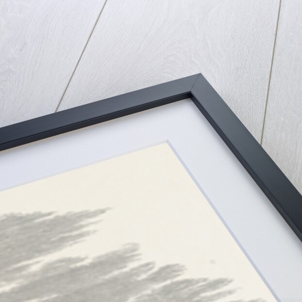 Entrance to the House of Lords, Westminster by Anonymous