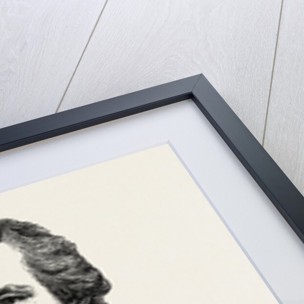 William Pitt by Anonymous