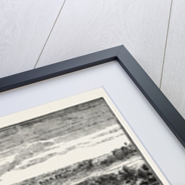 Public Fireworks, 1748 by Anonymous