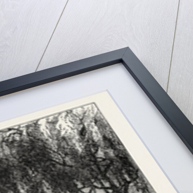 The Fountain in the Green Park, 1808 by Anonymous