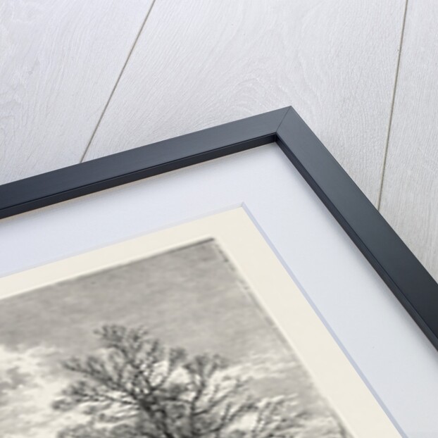 Grosvenor Square by Anonymous