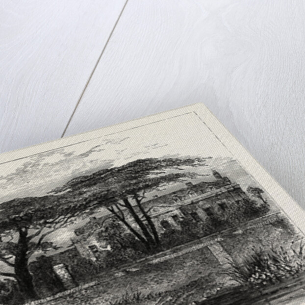 The Botanical Gardens, Chelsea, 1790 by Anonymous