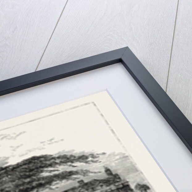 The Botanical Gardens, Chelsea, 1790 by Anonymous