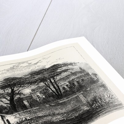 The Botanical Gardens, Chelsea, 1790 by Anonymous