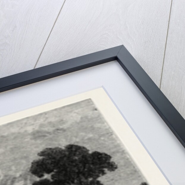 The Pavilion, Hans Place in 1800, In by Anonymous