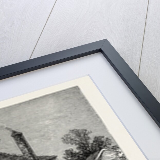 The queen's Head And Artichoke by Anonymous