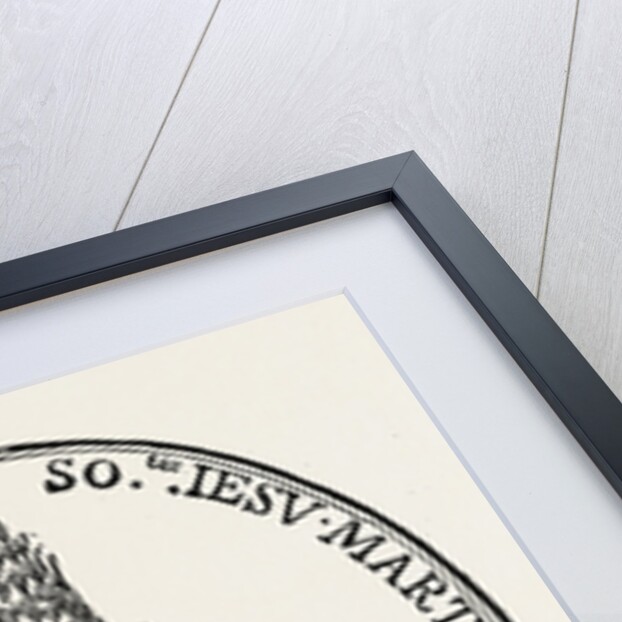 The Face in the Straw by Anonymous