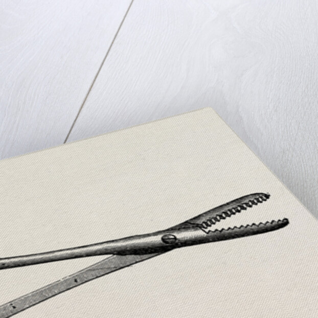 Spencer wells's artery forceps by Anonymous