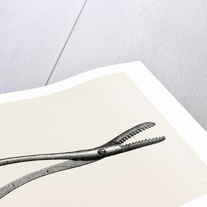 Spencer wells's artery forceps by Anonymous