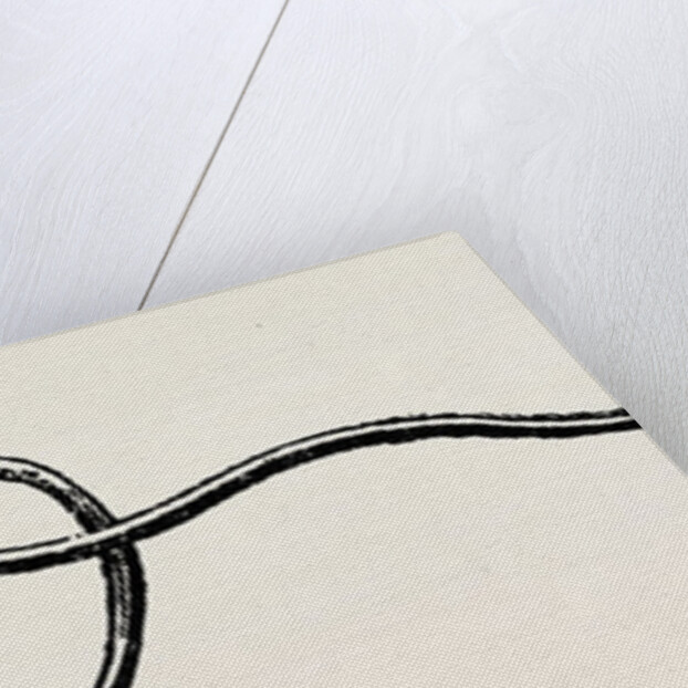 First stage of the surgeon's knot by Anonymous