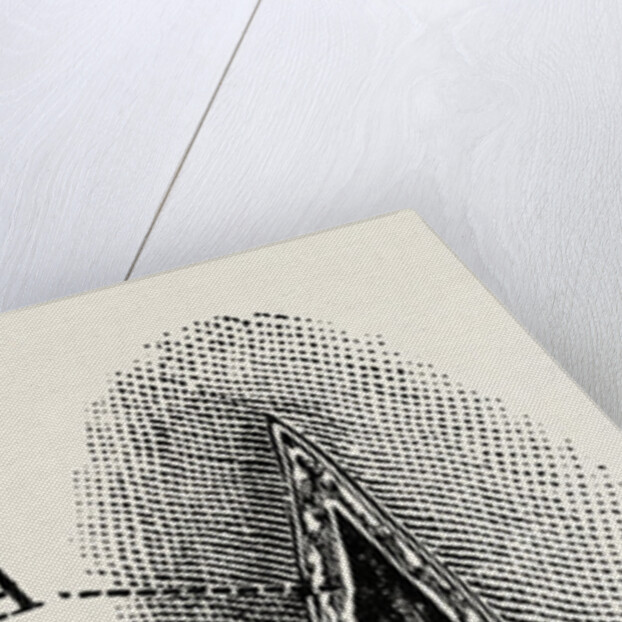 Ligature by Anonymous