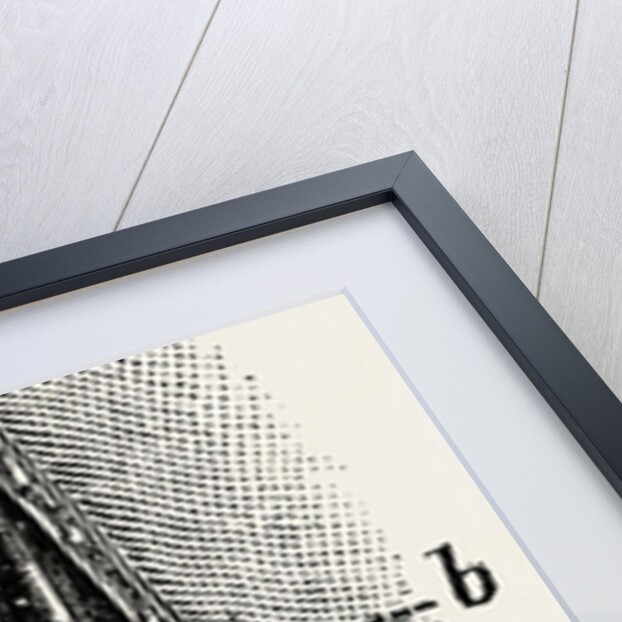 Ligature by Anonymous
