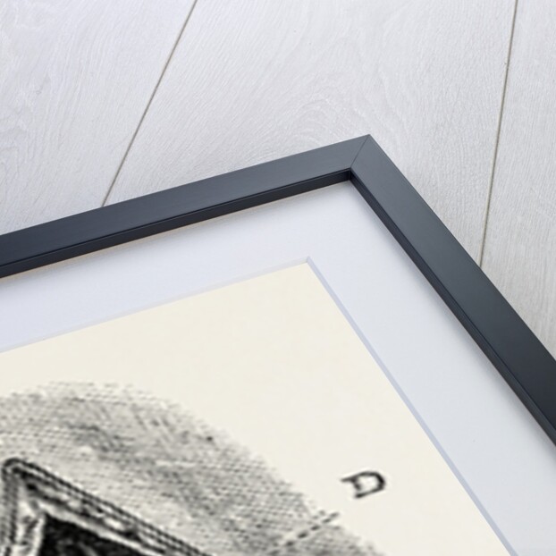 Ligature by Anonymous