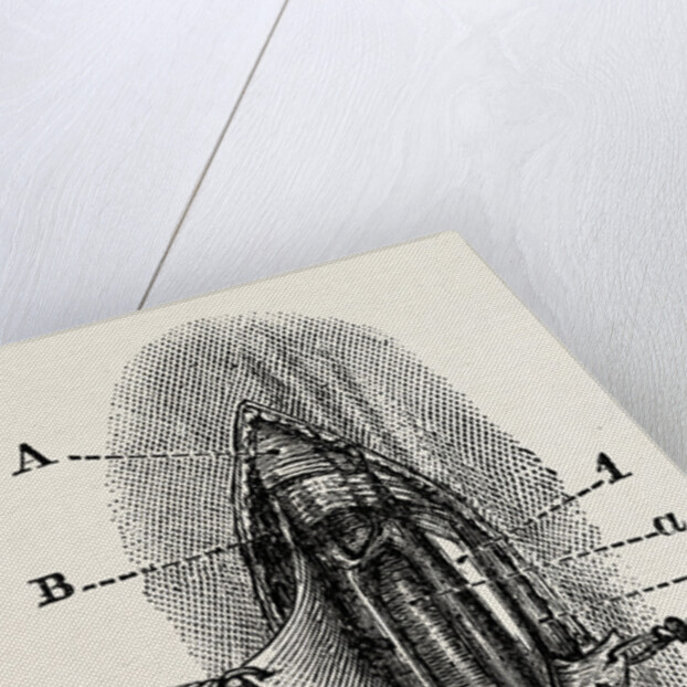 Ligature by Anonymous