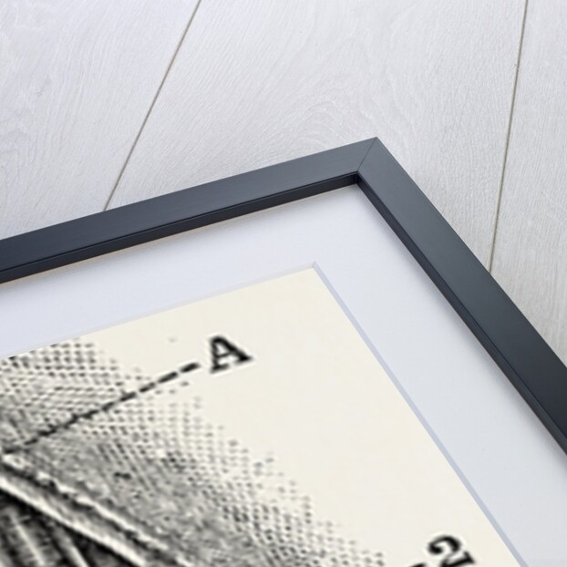 Ligature by Anonymous