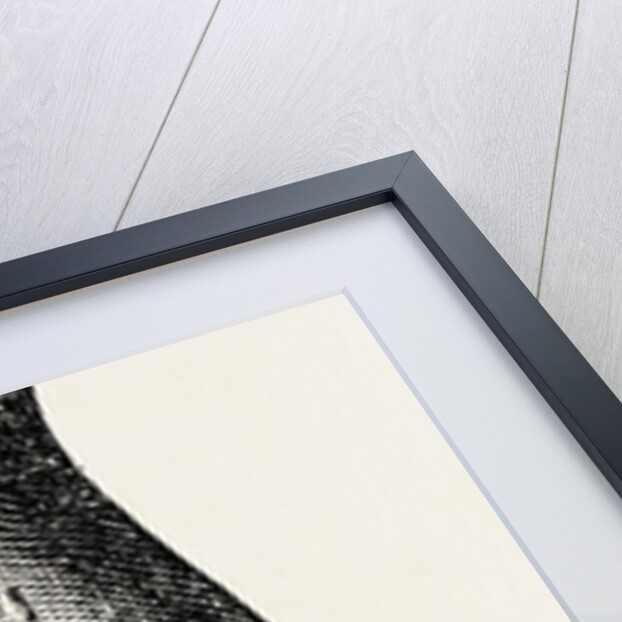 Ligature by Anonymous