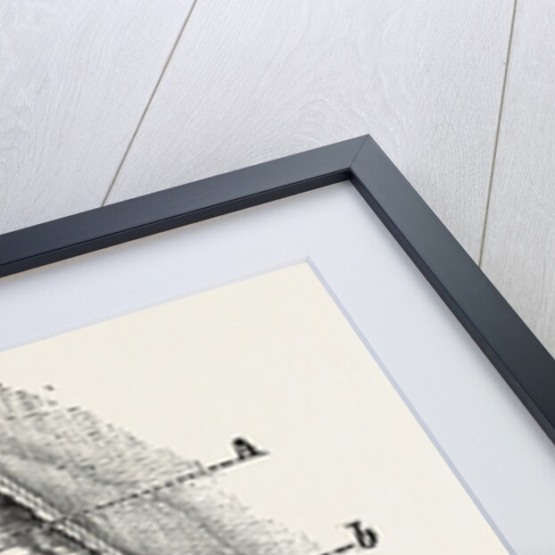 Ligature by Anonymous