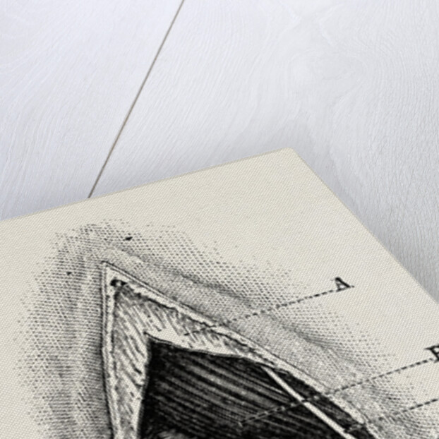 Ligature by Anonymous
