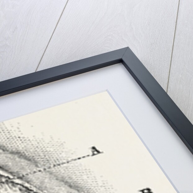 Ligature by Anonymous