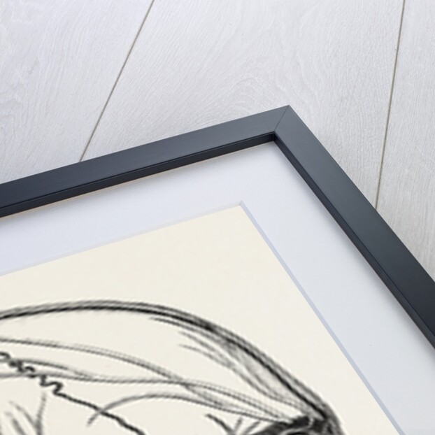 The nerves of the face and of the side of the head by Anonymous